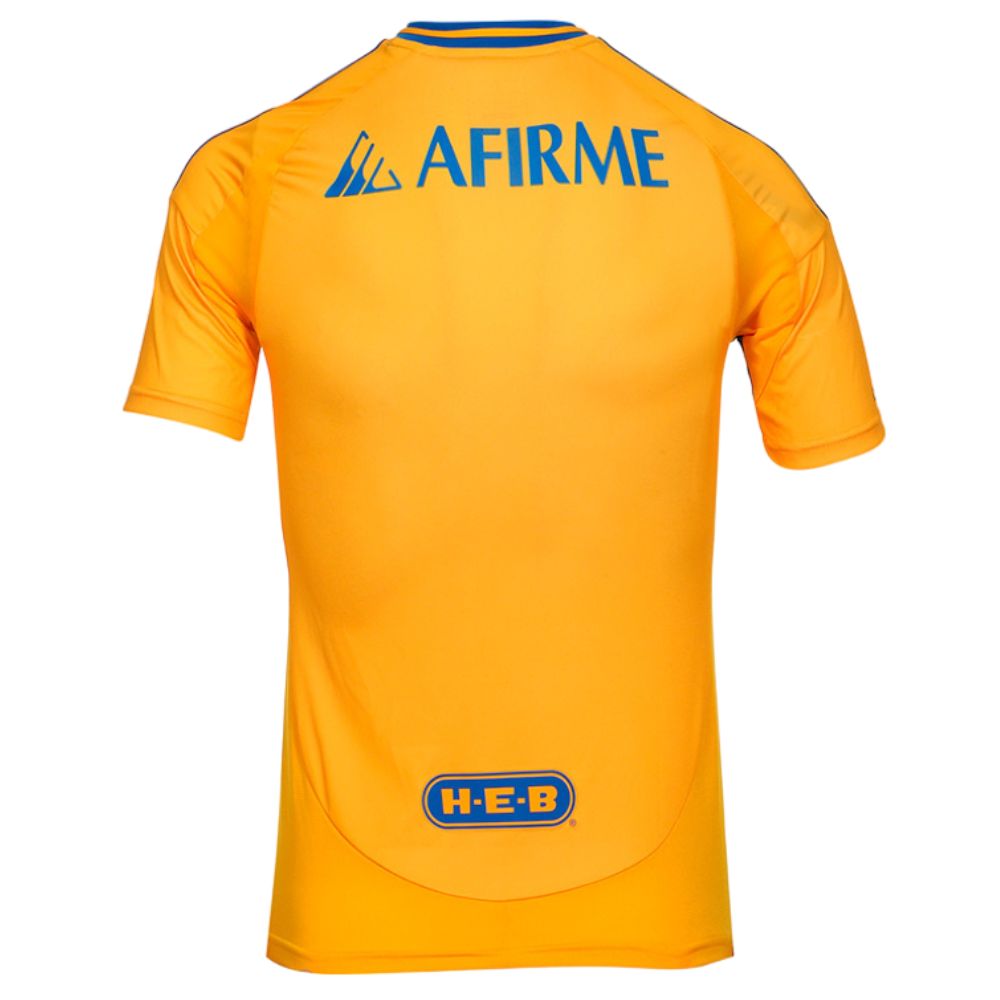 Tigres UANL - Domicile