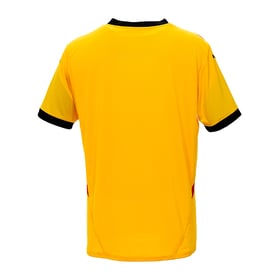 Racing Club Lens - Domicile