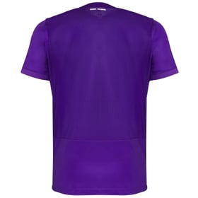 Toulouse FC - Domicile